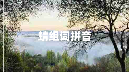 蜻組詞拼音
