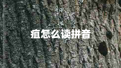 疽怎么讀拼音