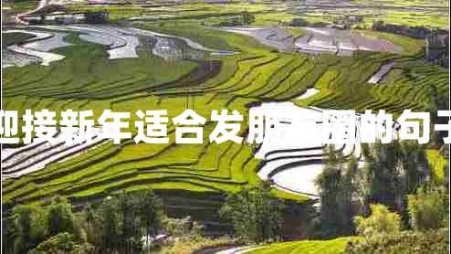迎接新年適合發(fā)朋友圈的句子