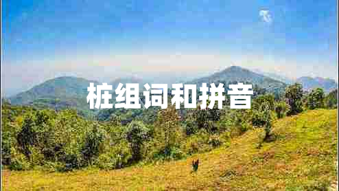 樁組詞和拼音