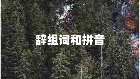 辭組詞和拼音