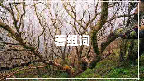 著(zhù)組詞