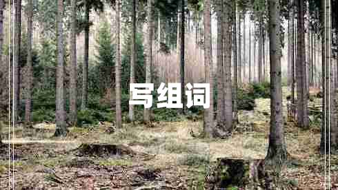 寫(xiě)組詞