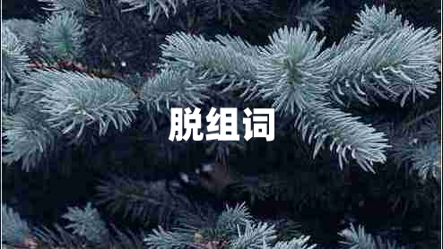 脫組詞