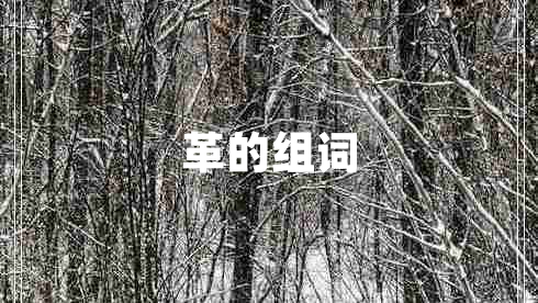革的組詞