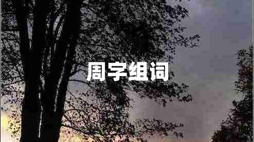 周字組詞