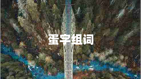 蛋字組詞