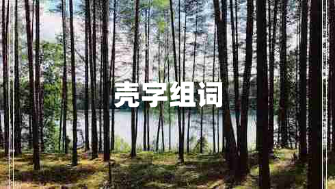 殼字組詞