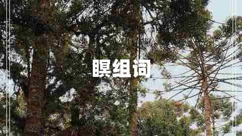 瞑組詞