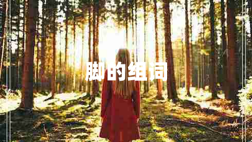 腳的組詞