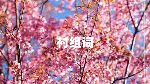 襯組詞