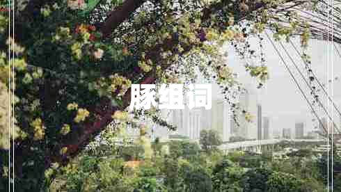 豚組詞