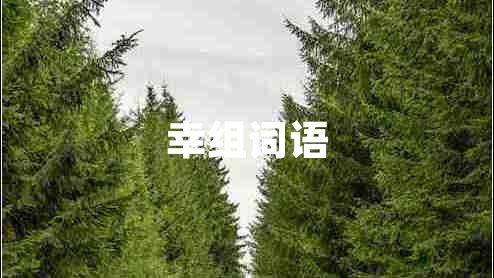 幸組詞語(yǔ)