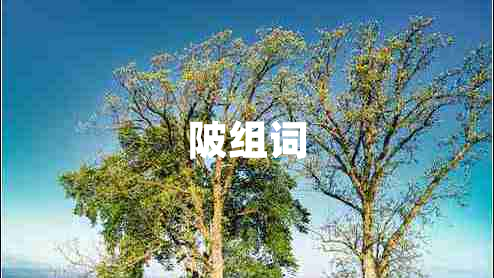陂組詞