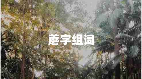 蘑字組詞