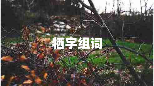 犧字組詞