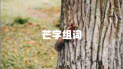 芒字組詞
