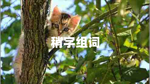 稍字組詞