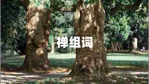 禪組詞