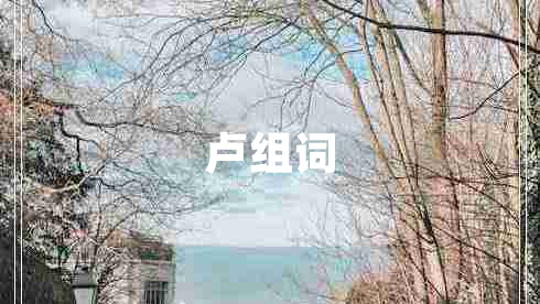 盧組詞