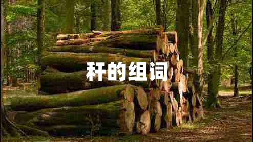 稈的組詞