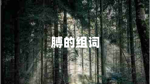 膊的組詞