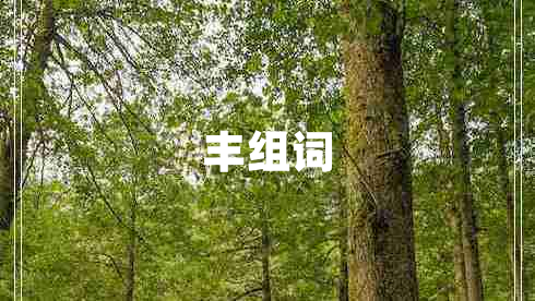 豐組詞