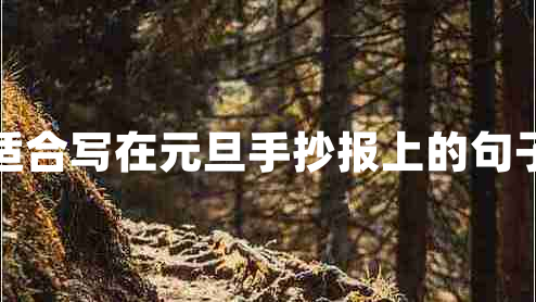 適合寫(xiě)在元旦手抄報上的句子