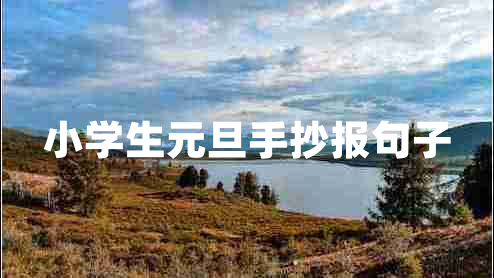 小學(xué)生元旦手抄報句子