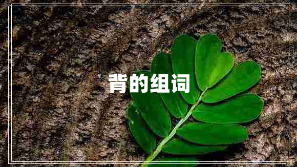 背的組詞
