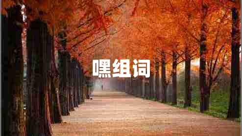 嘿組詞
