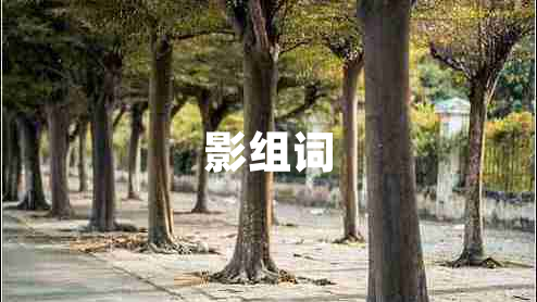 影組詞