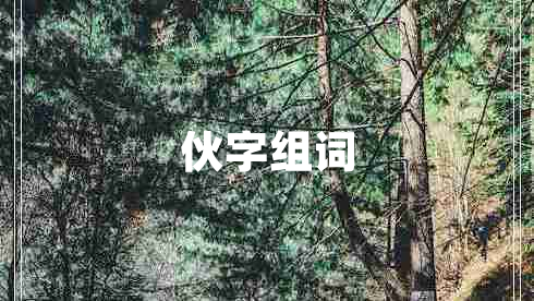 伙字組詞