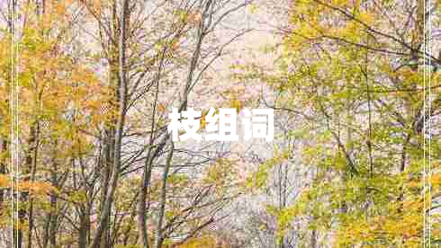 枝組詞