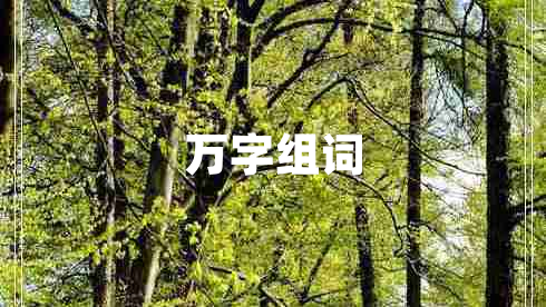 萬(wàn)字組詞