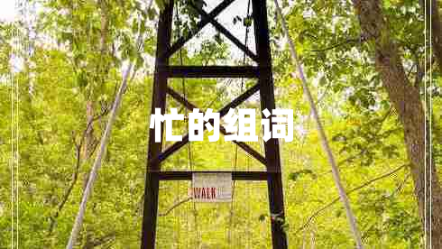 忙的組詞