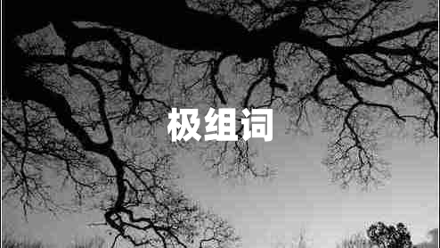 極組詞