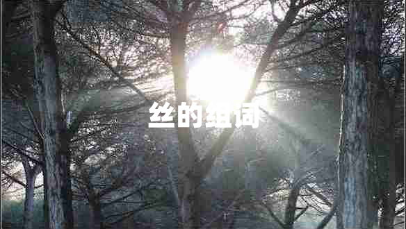 絲的組詞