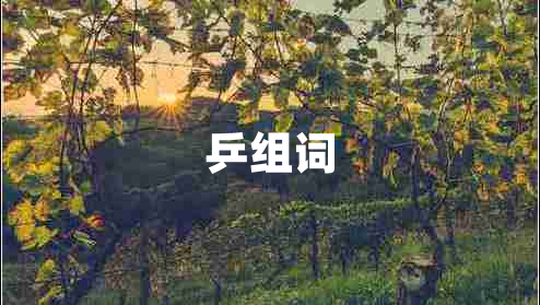 乒組詞