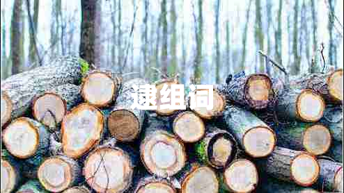 逮組詞