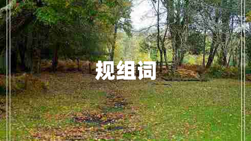 規組詞