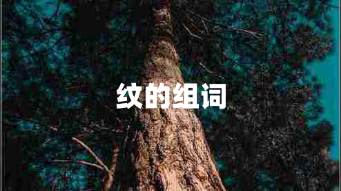 紋的組詞