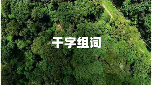 干字組詞