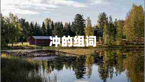 沖的組詞