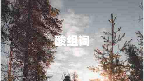 酸組詞