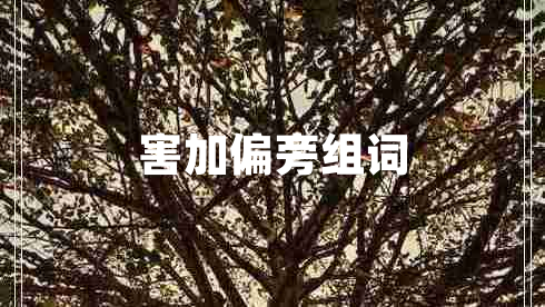 害加偏旁組詞