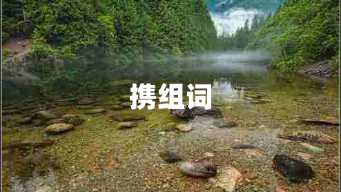 攜組詞