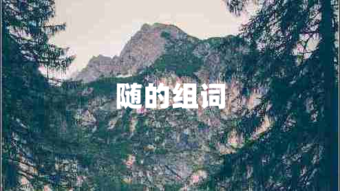 隨的組詞