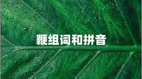 鞭組詞和拼音