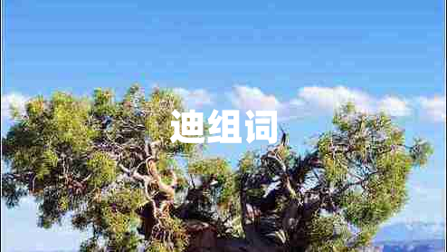 迪組詞